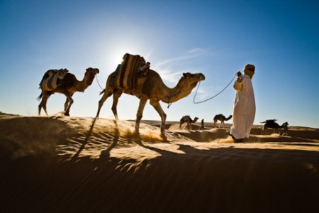 SAHARA DESERT CAMEL TREK · Jorg Badura